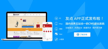 友点cms系统