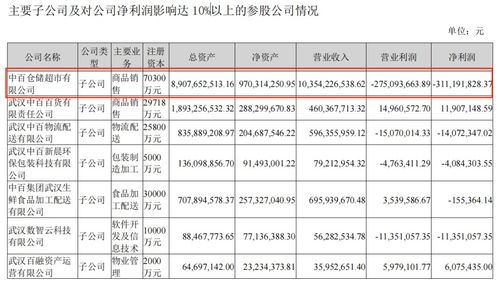 中百仓储 自改 首店,能否成为 武汉胖东来