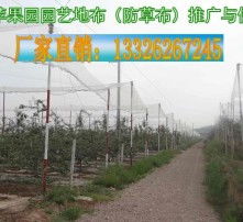 高清图片