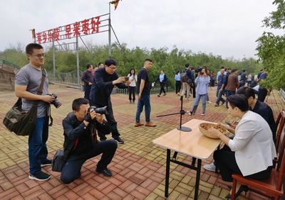 赓续红色基因 赋能乡村振兴!“聚焦红色冀鲁边”冀鲁党报社长总编辑乐陵行活动举行