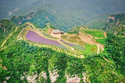 云顶花海的“齐山绽放” | 16市地党报齐聚淄博齐山风景区采风掠影