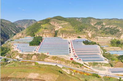 福彩+文旅 公益赋能发展，共绘美好生活——以淄博CMS为例