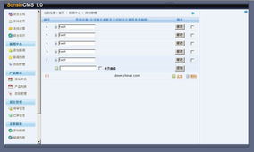 淄博CMS 革新内容管理系统的本土化力量